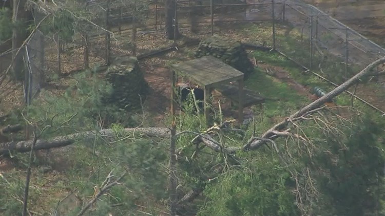 Animal safari devastated by tornado which led to 2 tigers temporarily escaping to reopen