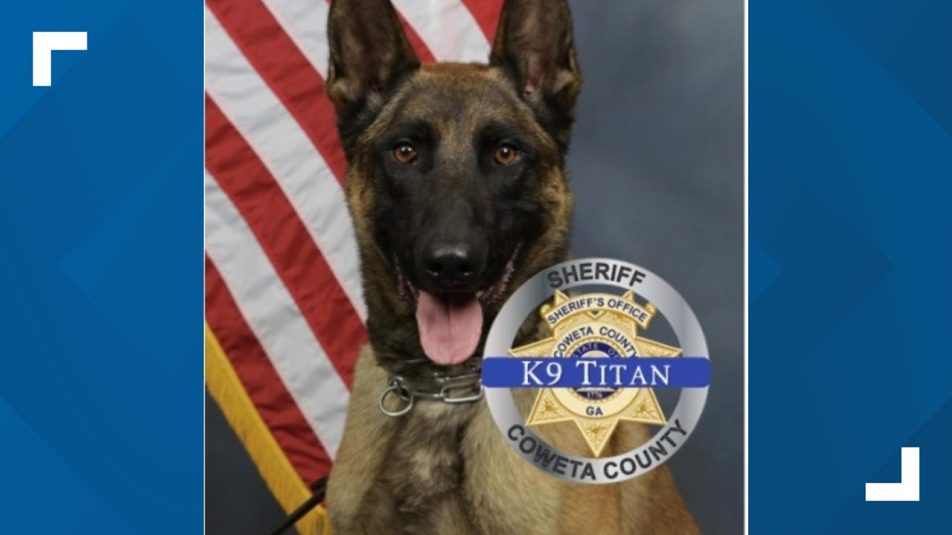 K-9 Titan was shot and killed after a driver opened fire at the end of a chase that crossed into Fulton County last week.