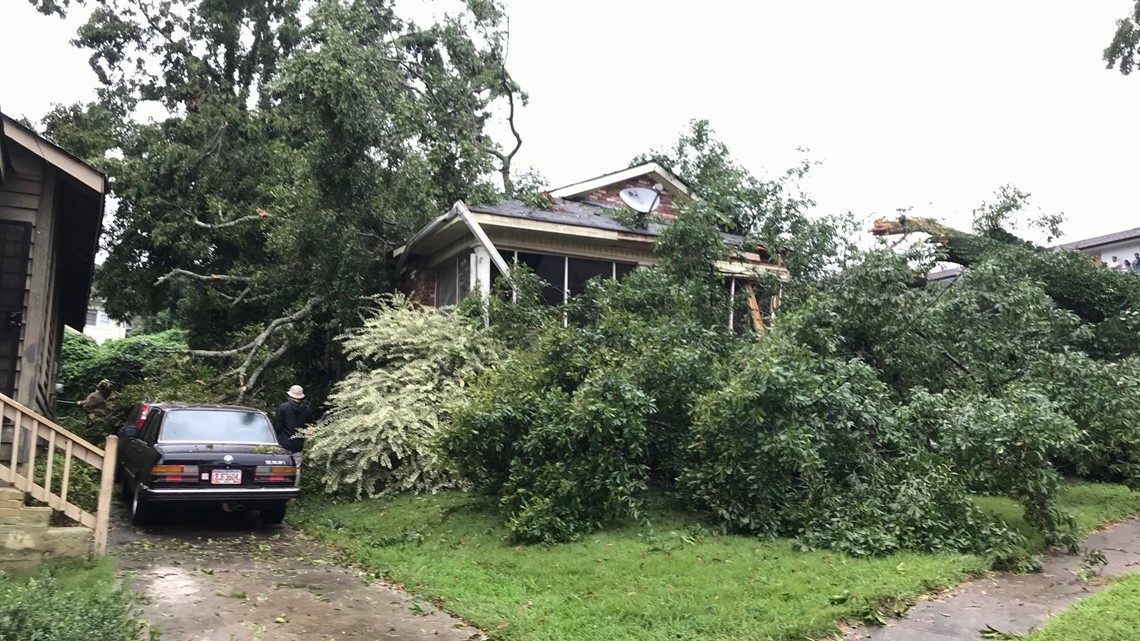 Tree falls into home on Linda Way SW; 1 killed