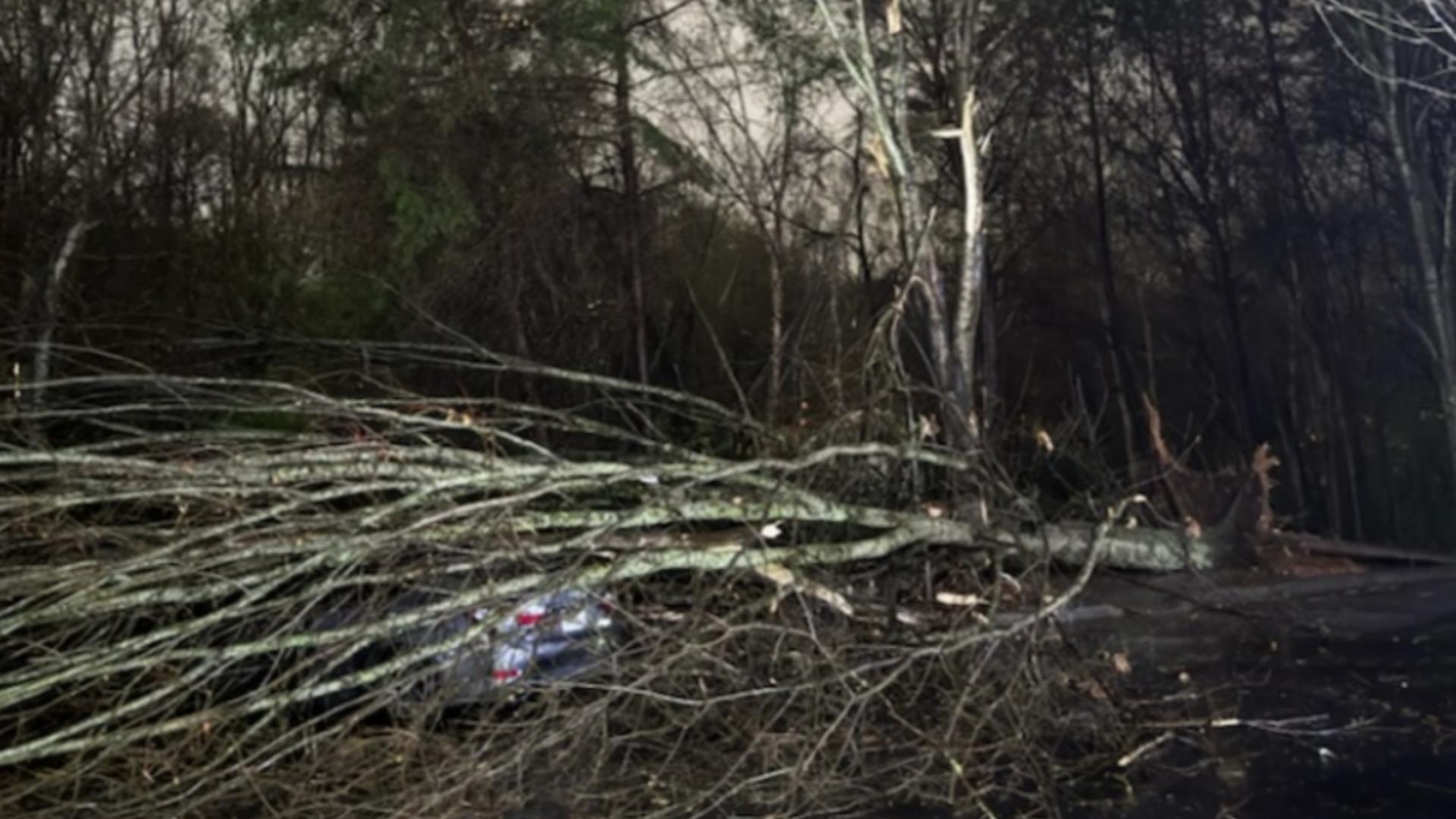 Damage reported in metro Atlanta & north Georgia after severe storms ...