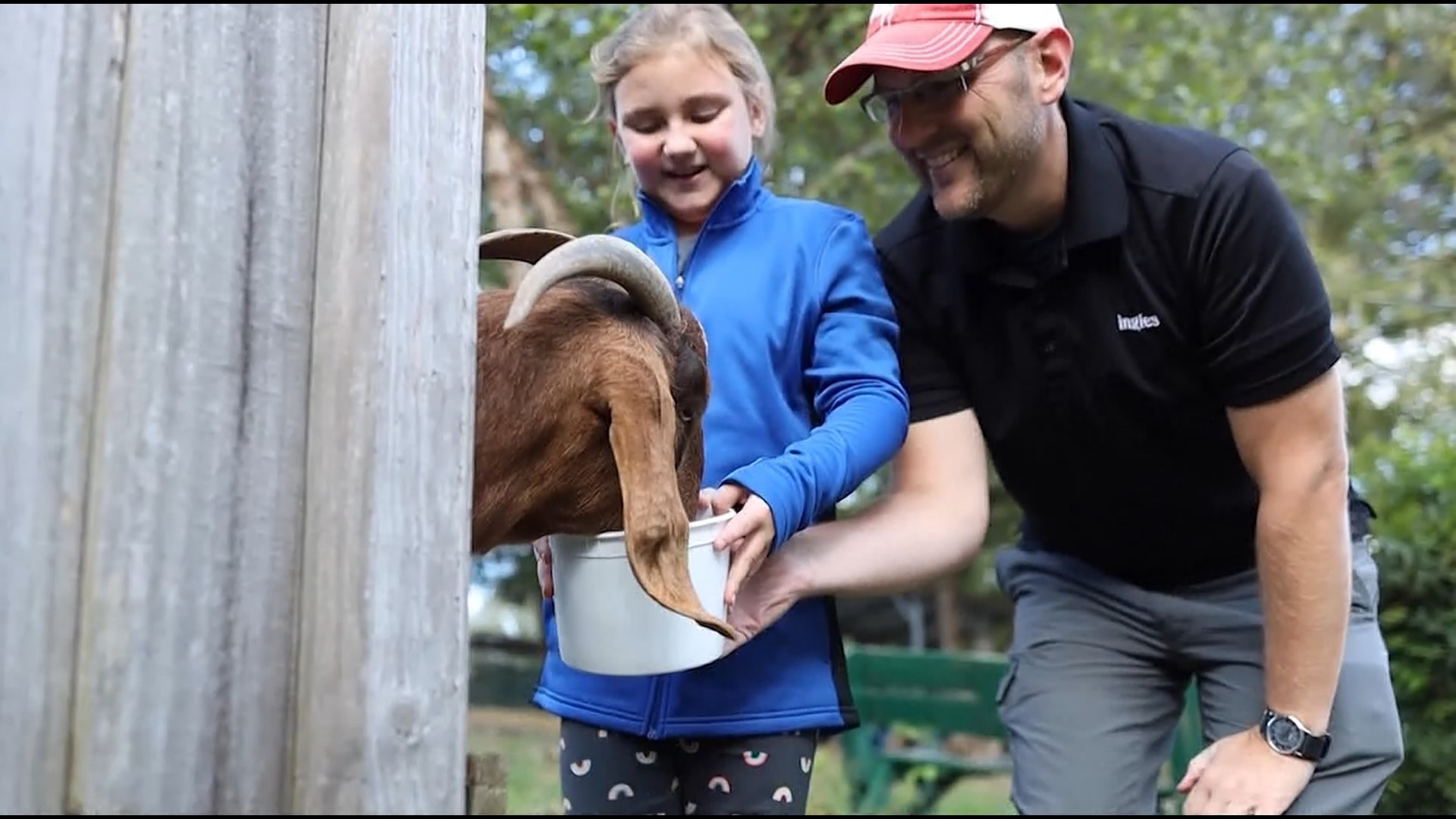 Briarwood Ranch Safari Park features animals from around the world. Go inside with Ingles Markets and explore with the whole family!