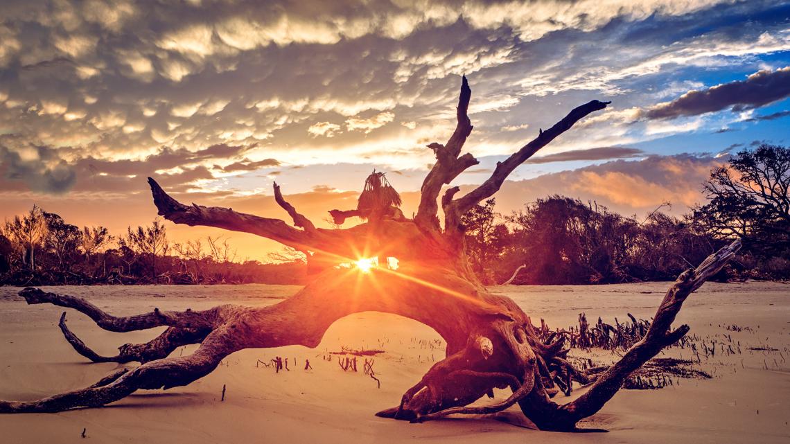 Report ranks beloved Georgia coastal locale one of 31 most beautiful towns in America