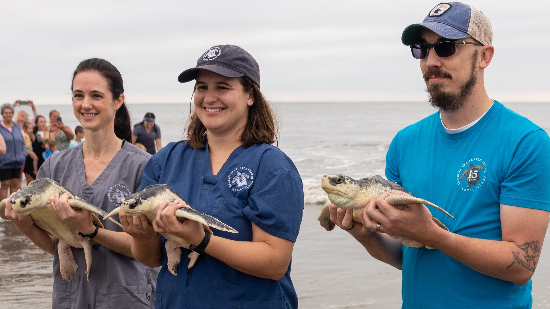 Sea Turtle Rescue Release At Jekyll Island, Georgia 