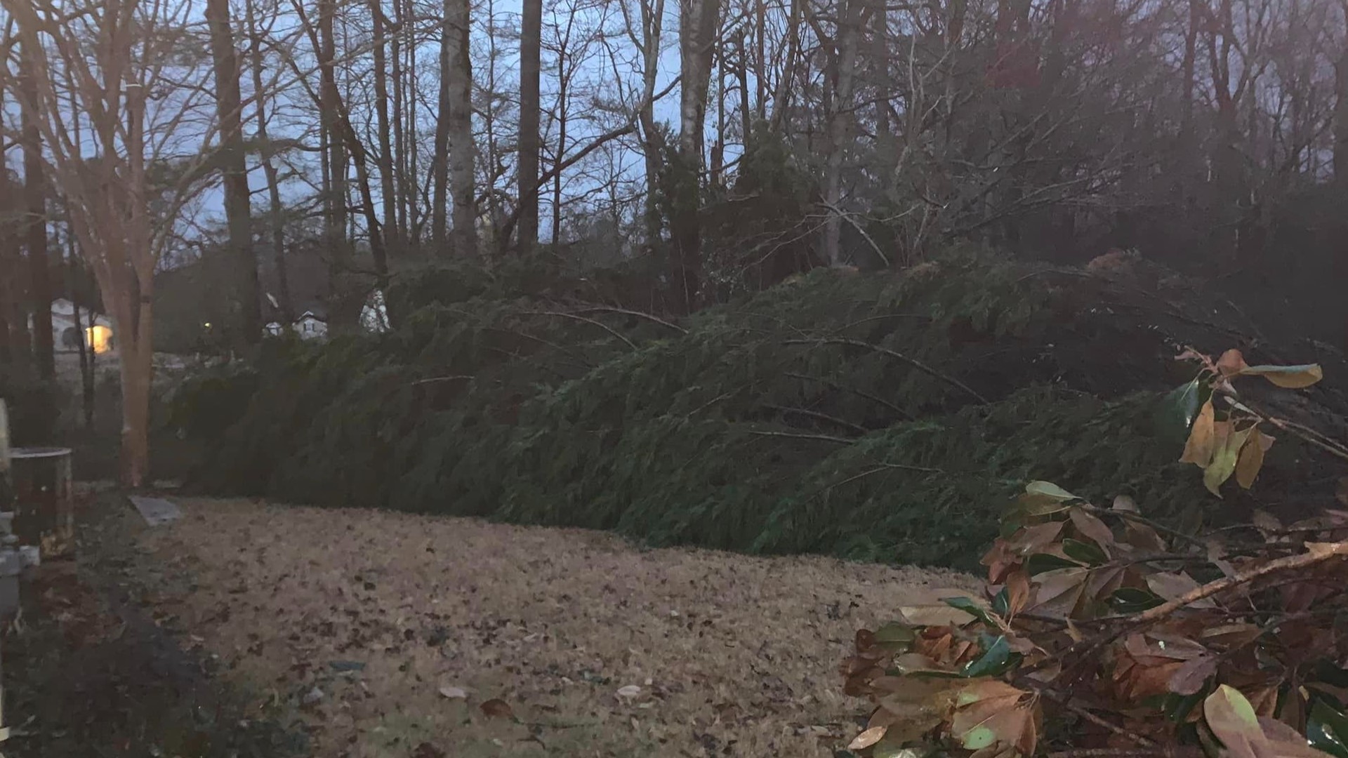 Homeowners react after storms cause damage in metro Atlanta | 11alive.com