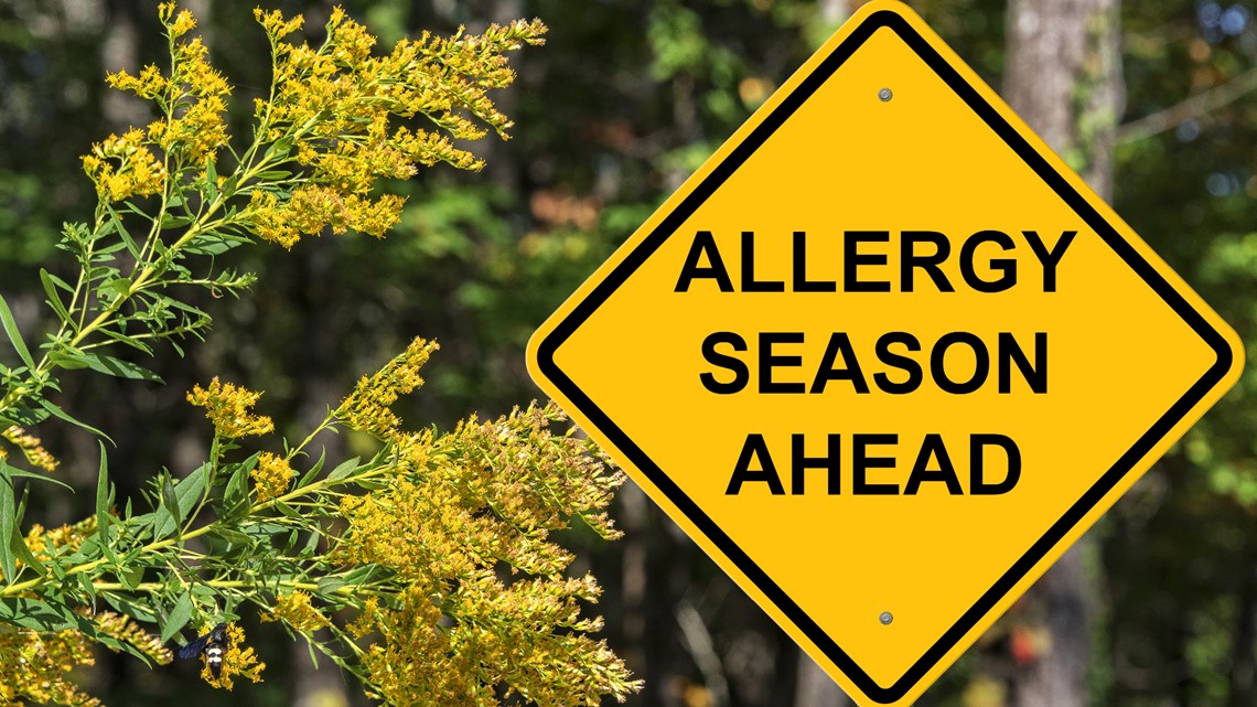 Study finds allergy season is getting longer